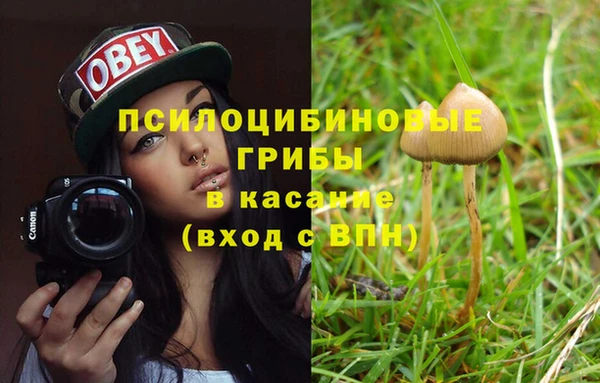 MDMA Premium VHQ Аркадак